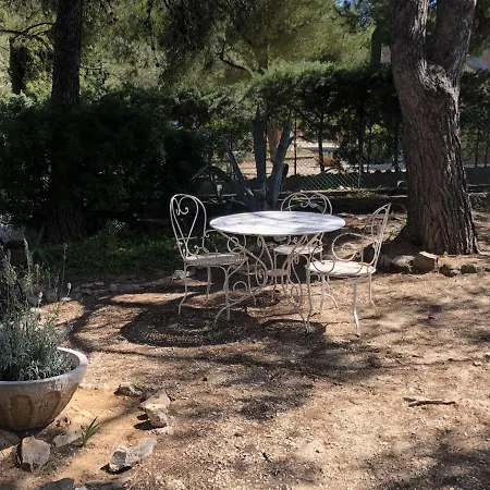 Provencale - Grand Jardin - 2